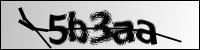 [captcha]